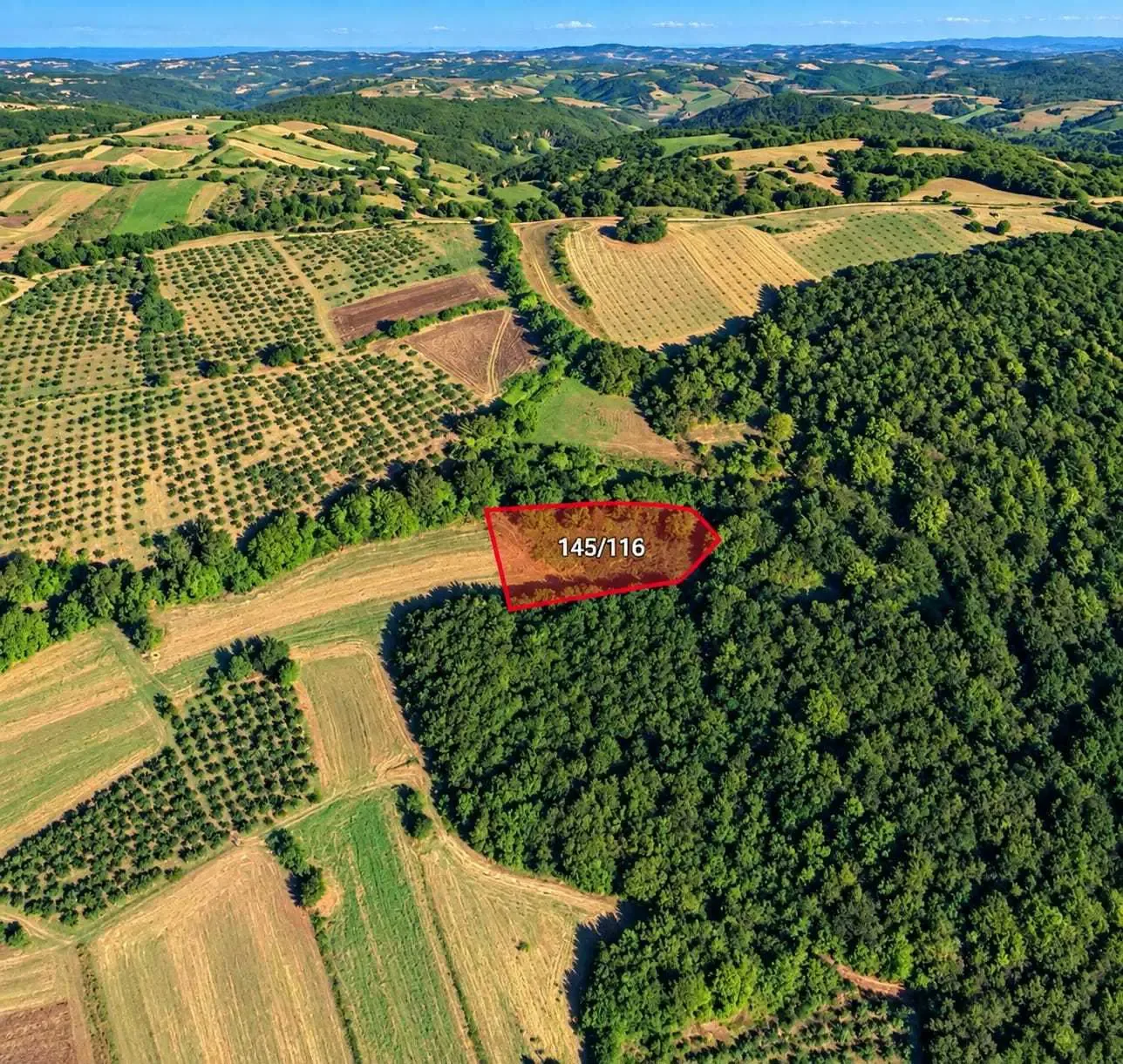 Kandıra Bozburun’da 1.696 m² yatırım fırsatı – müstakil tarla